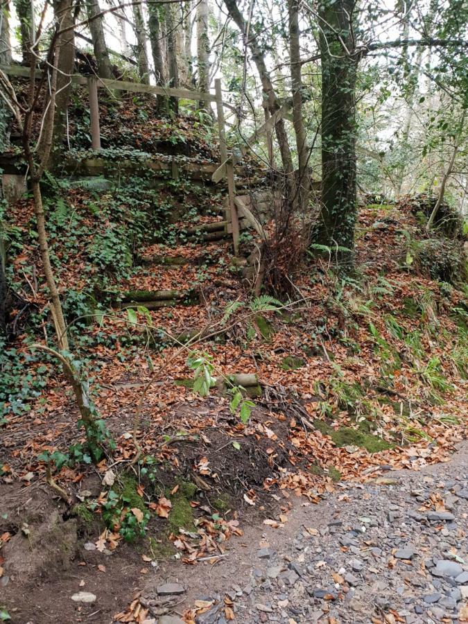 The Millers Cottage Okehampton Luaran gambar