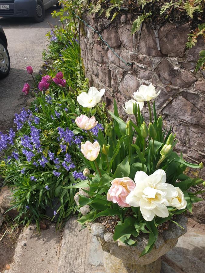 The Millers Cottage Okehampton Luaran gambar